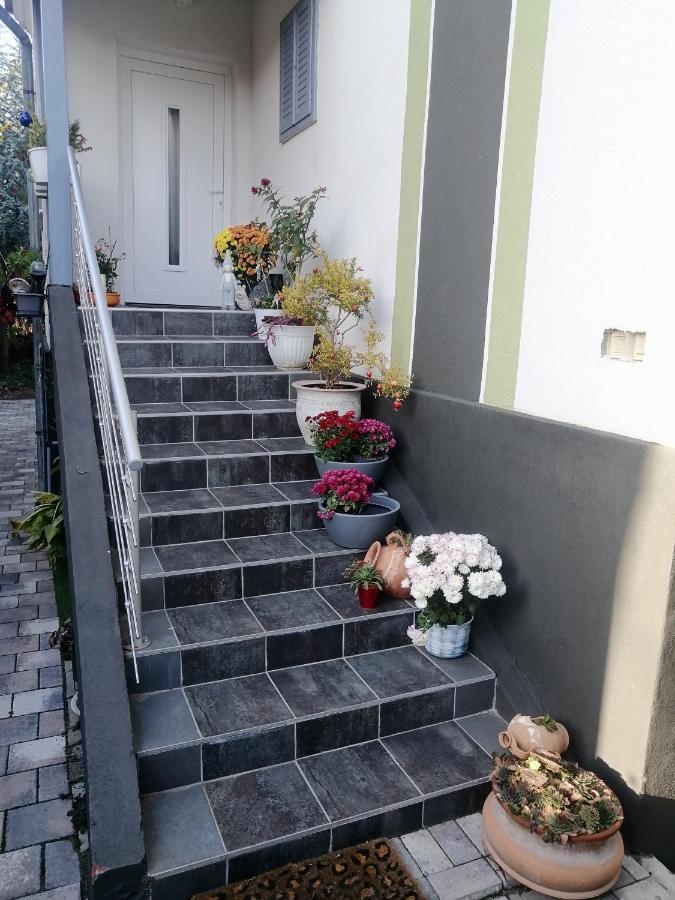 264 Lepes Vendeghaz Sarvar Exterior photo